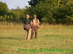 Hundetræning efterår 2015